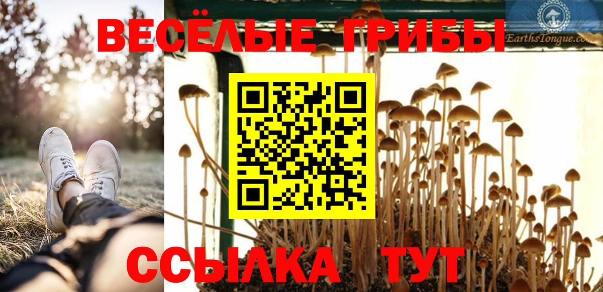 Раменское  Галлюциногенные грибы GOLDEN TEACHER  Вход с VPN 